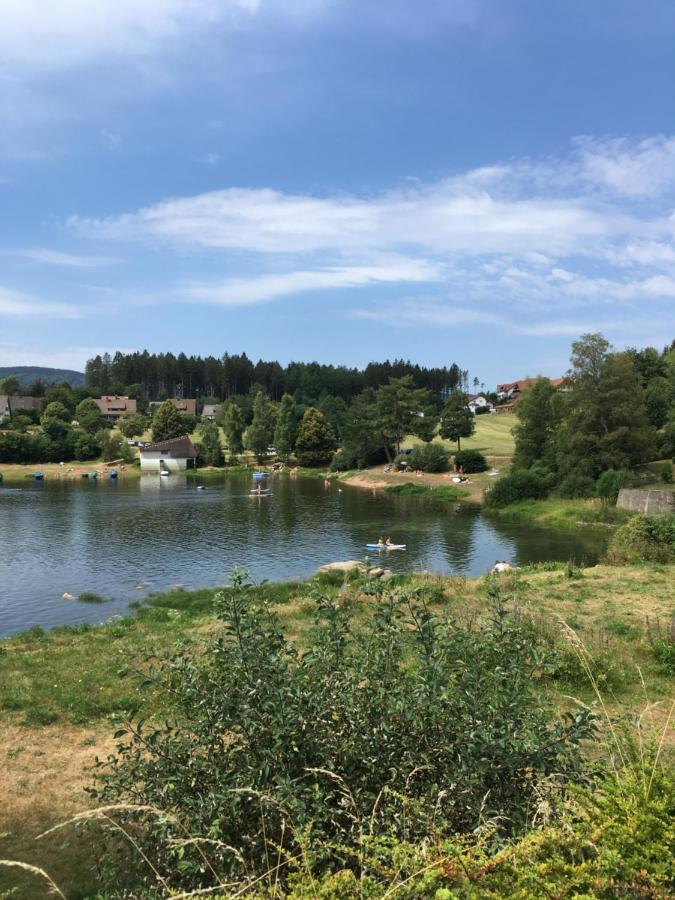 Zu Hause Am See - Pool, Sauna, Fitnessraum Schluchsee Luaran gambar