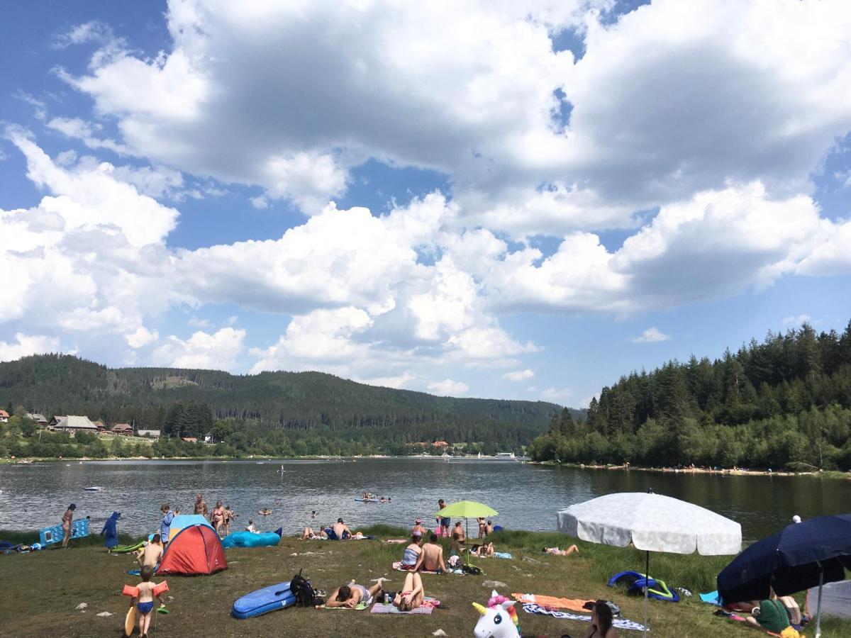 Zu Hause Am See - Pool, Sauna, Fitnessraum Schluchsee Luaran gambar