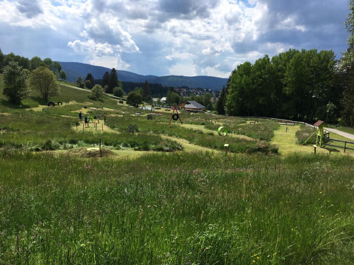 Zu Hause Am See - Pool, Sauna, Fitnessraum Schluchsee Luaran gambar
